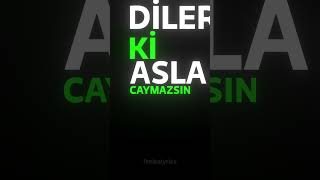 Dilerim Ki  Dolu Kadehi Ters Tut  Lyrics [upl. by Annerb]