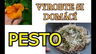 RECEPT NA DOMÁCÍ PESTO Z LICHOŘEŘIŠNICE  postup účinky lichořeřišnice a ukázka jídla s pestem [upl. by Shulman849]