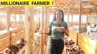 How To Feed GOATS In A Simple Goat Farm Business  Better feeds New kids ROUTINE [upl. by Ardnasirk]