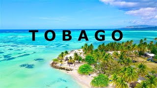 TOBAGO TRAVEL GUIDE Trinidad amp Tobago  ALL top sights in 4K  Drone [upl. by Nezah29]