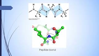 Peptide Hormones  Pharmaceutical Medicinal Chemistry  الفرقة الرابعة كلية الصيدلة [upl. by Arol]