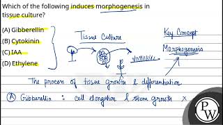 Which of the following induces morphogenesis in tissue culture [upl. by Luehrmann]