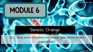 Module 6 Episode 1b Mutations [upl. by Obediah761]