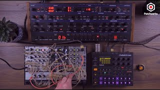 Sequential OB6 Digitakt and modular performance at Patchwerks [upl. by Ronnica]