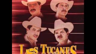 Los Tucanes De TijuanaTu eres 1990 [upl. by Kcirrek]