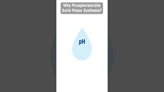 Why Phosphoramidite Solid Phase Synthesis [upl. by Liag]