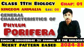 General characterstics of Phylum porifera Kingdom Animalia Invertebrates XI Biology NCERT [upl. by Saylor750]