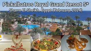 Pickalbatros Royal Grand Resort Sharm El Sheikh Egypt in Febuary 2024 [upl. by Irme276]