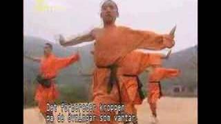 Myths amp Logic Of Shaolin Monks Pt 1 [upl. by Goody716]