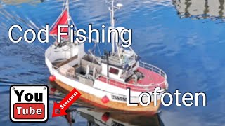 Cod Fishing Skreifiske vinter POV [upl. by Carola]