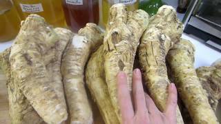 Fermented Horseradish Four Recipes [upl. by Ahsinhoj494]