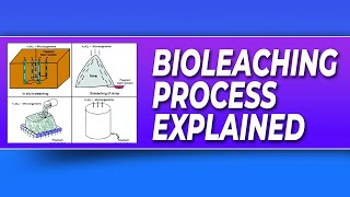 Bioleaching Process [upl. by Ahsyad]