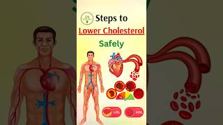 Steps to Lower Cholesterol  safely [upl. by Yve]