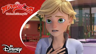 🍌 Królowa Bananów  Miraculous Biedronka i Czarny Kot  Disney Channel Polska [upl. by Ennairrek566]