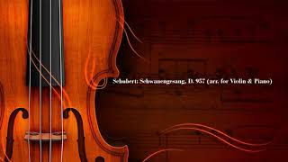 Schubert Schwanengesang D 957 quotSwan Songquot arr for Violin amp Piano [upl. by Eittod]