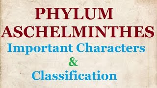 Phylum Aschelminthes  Important Characters Classification Phasmidia Aphasmidia NCERT 11 BIOLOGY [upl. by Aisek]