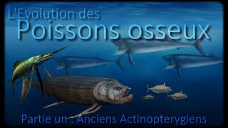 Les poissons préhistoriques Actinopterygii 13 [upl. by Aisya94]