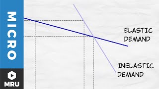 Elasticity of Demand [upl. by Notlrahc]