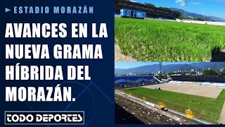 Avances en la nueva grama híbrida del Estadio Morazán y los otros estadios que tendrán nuevo campo [upl. by Politi]