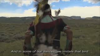 High Desert Museum Exhibit quotIcon of the Sagebrush Seaquot  Chicken Dance [upl. by Sito]