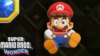 Super Mario Bros Wonder The FINAL Final Level [upl. by Aztin400]