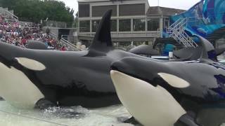 One Ocean Full ShowFull HD May 14 2016  SeaWorld San Diego [upl. by Stinky]