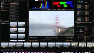 Redcine X Pro Tutorial Part 0  The Basics [upl. by Hannis]