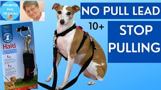 No Pull Dog Lead Halti Double Ended Lead [upl. by Drallim6]