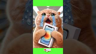 My New Iphone 😭 cat funny shorts [upl. by Roderigo]