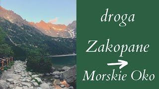 droga Zakopane Morskie Oko dojazd do wejścia na szlak [upl. by Nelrah]