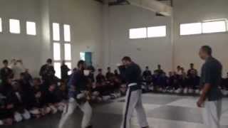 Spectacle de yoseikan budo avec le champion du monde issam barhoumi et son frere houssem barhoumi [upl. by Hayikat]