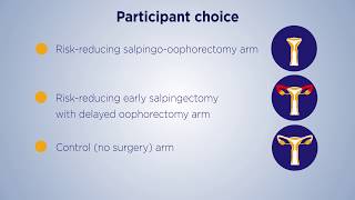 Preventing Ovarian Cancer through early Excision of Tubes and late Ovarian Removal PROTECTOR Study [upl. by Atnomed494]