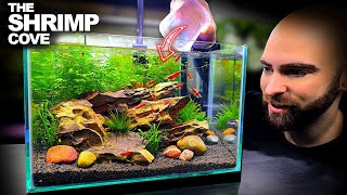 The Shrimp Cove New Neocaridina Nano Tank For Freshwater Cherry Shrimp Aquascape Tutorial [upl. by Garth]