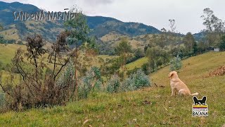 Paisaje chorreras e historia un recorrido por las montañas de Santa Bárbara [upl. by Yklam941]