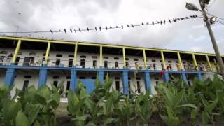 Spark Behind The Scenes Jail in Jamaica [upl. by Kcirderfla]