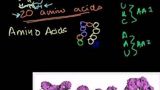 DNA in Bangla [upl. by Cutty545]