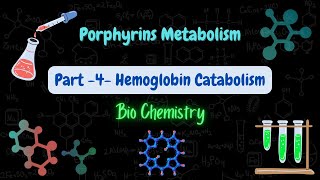 Porphyrins Metabolism  part 4  Hemoglobin catabolism  استقلاب البورفيرينات والهيموغلوبين [upl. by Notwen]