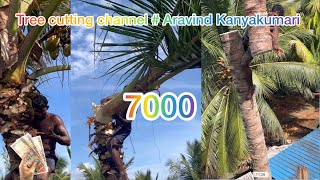 Tree cutting channel  trending channel Aravind kanyakumari 8248851253 [upl. by Ffoeg849]