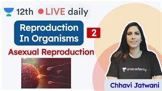 CBSE Class 12 Reproduction In Organisms  Biology  Unacademy Class 11 amp 12  Chhavi Maam [upl. by Adlin807]