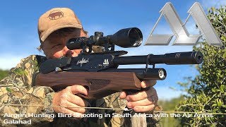 Airgun Hunting Bird Shooting in South Africa with the Air Arms Galahad [upl. by Aciretal]