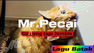 3 DJ Remix  Jedag Jedug Pecai  Lagu Batak [upl. by Virginia562]