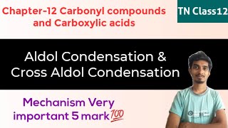 Aldol Condensation with MechanismCross Aldol CondensationVery important 5 markTN Class12 [upl. by Liban94]