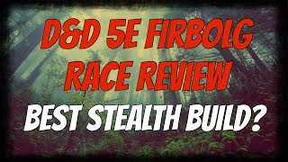 DampD 5e Firbolg Race Review  RP amp Build Tips [upl. by Nnylhsa]