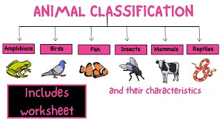 The Five Animal Groups  Grade Two  Science For Kids [upl. by Aniv880]