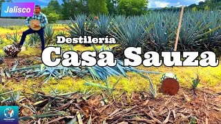 Tour Destilería Casa Sauza tequila  Tour por Tequila Jalisco [upl. by Enilrahc806]