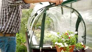 Bio Green Jumbo Propagator  Keen Gardener [upl. by Reagen]