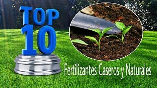 10 Fertilizantes Caseros y Naturales [upl. by Denoting835]