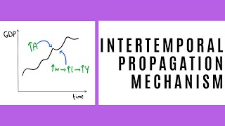 Intertemporal Propagation Mechanism [upl. by Martie]