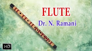 DrNRamani  Flute  Classical Instrumental  Swara Raga Sudha  Sankarabharanam [upl. by Amled]