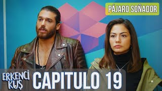 Pájaro soñador  Erkenci Kuş Capitulo 19 Audio Español [upl. by Hpsoj]